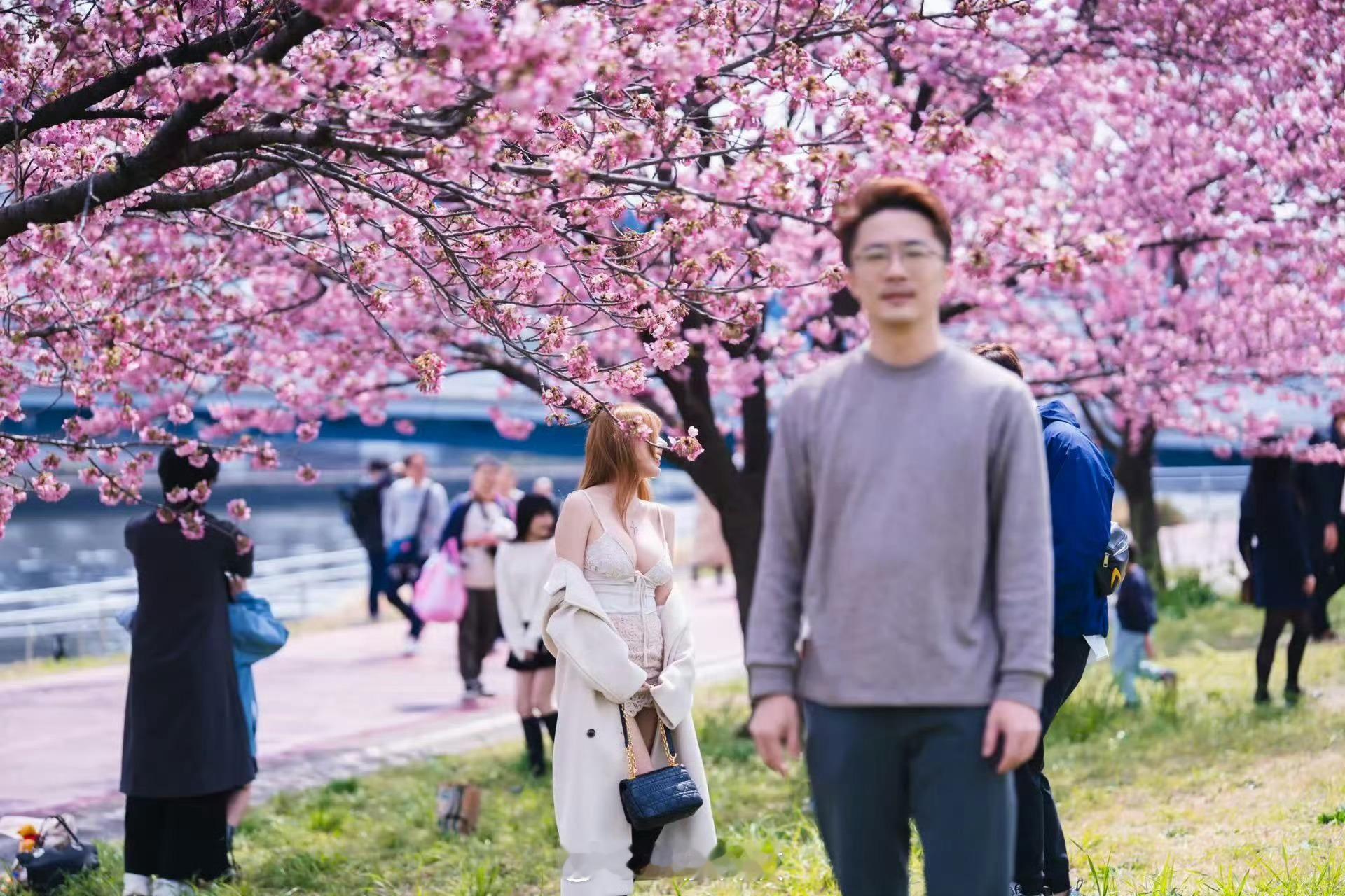 穆粉早安周日早啊，又到了春游赏花的好季节了，大家喜欢赏花嘛