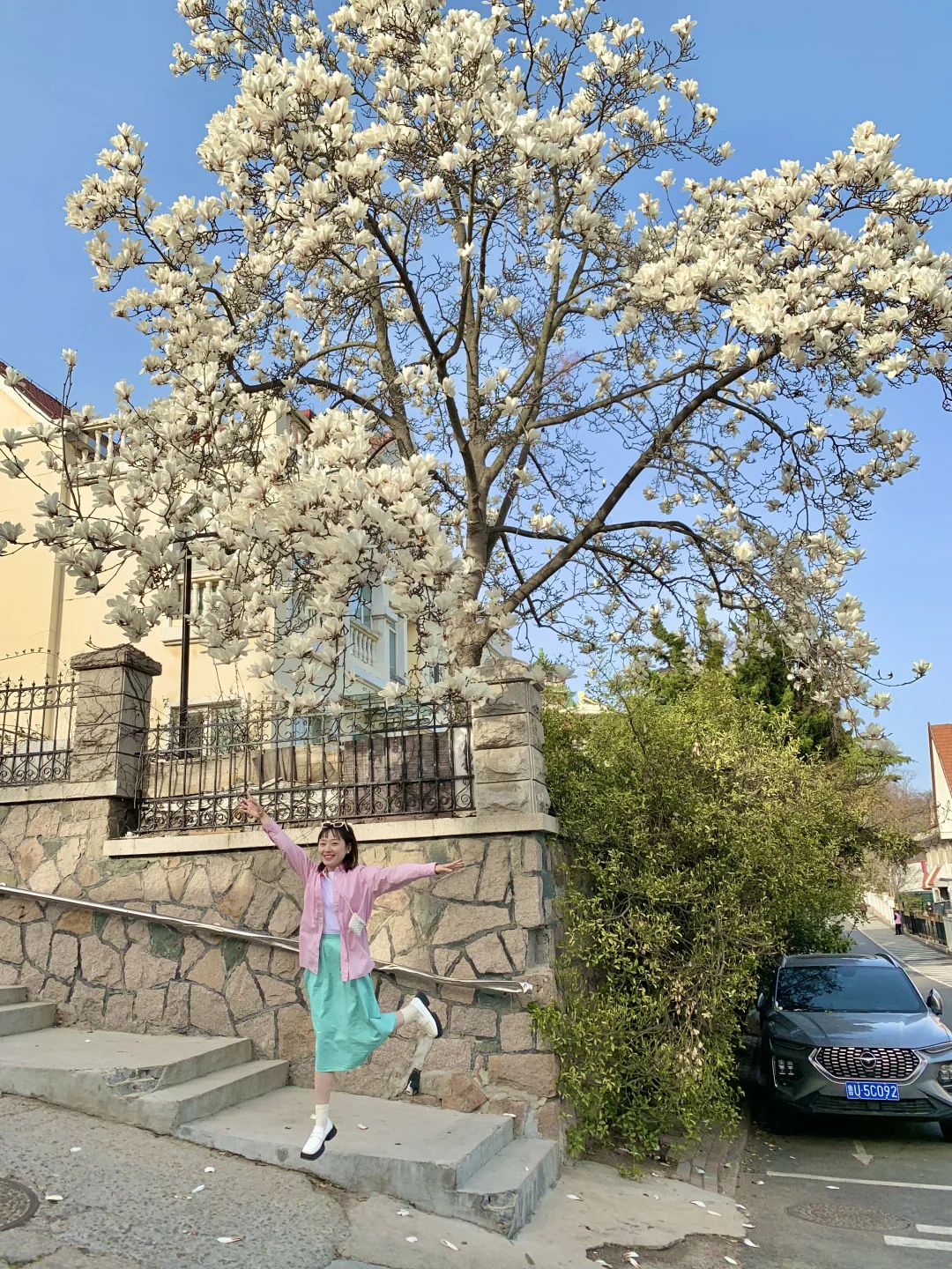 接下来的青岛是万万次的春和景明✨（附攻略