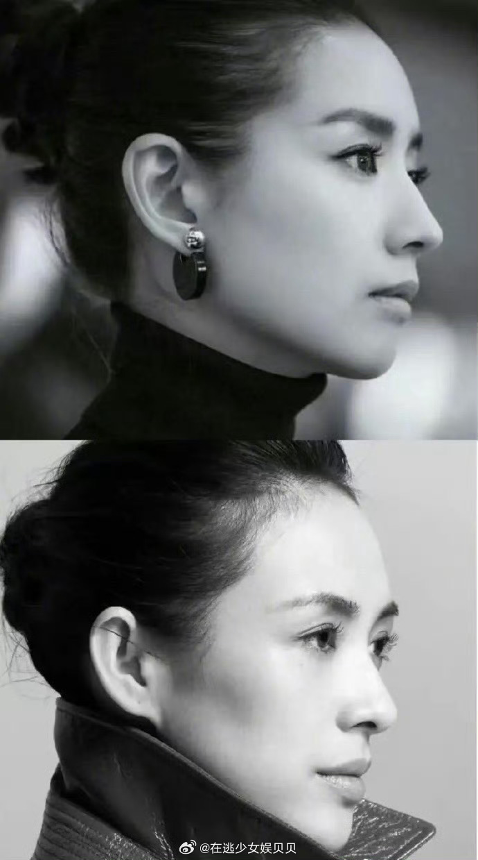 董洁和章子怡侧脸对比，谁更具有美人相？ 