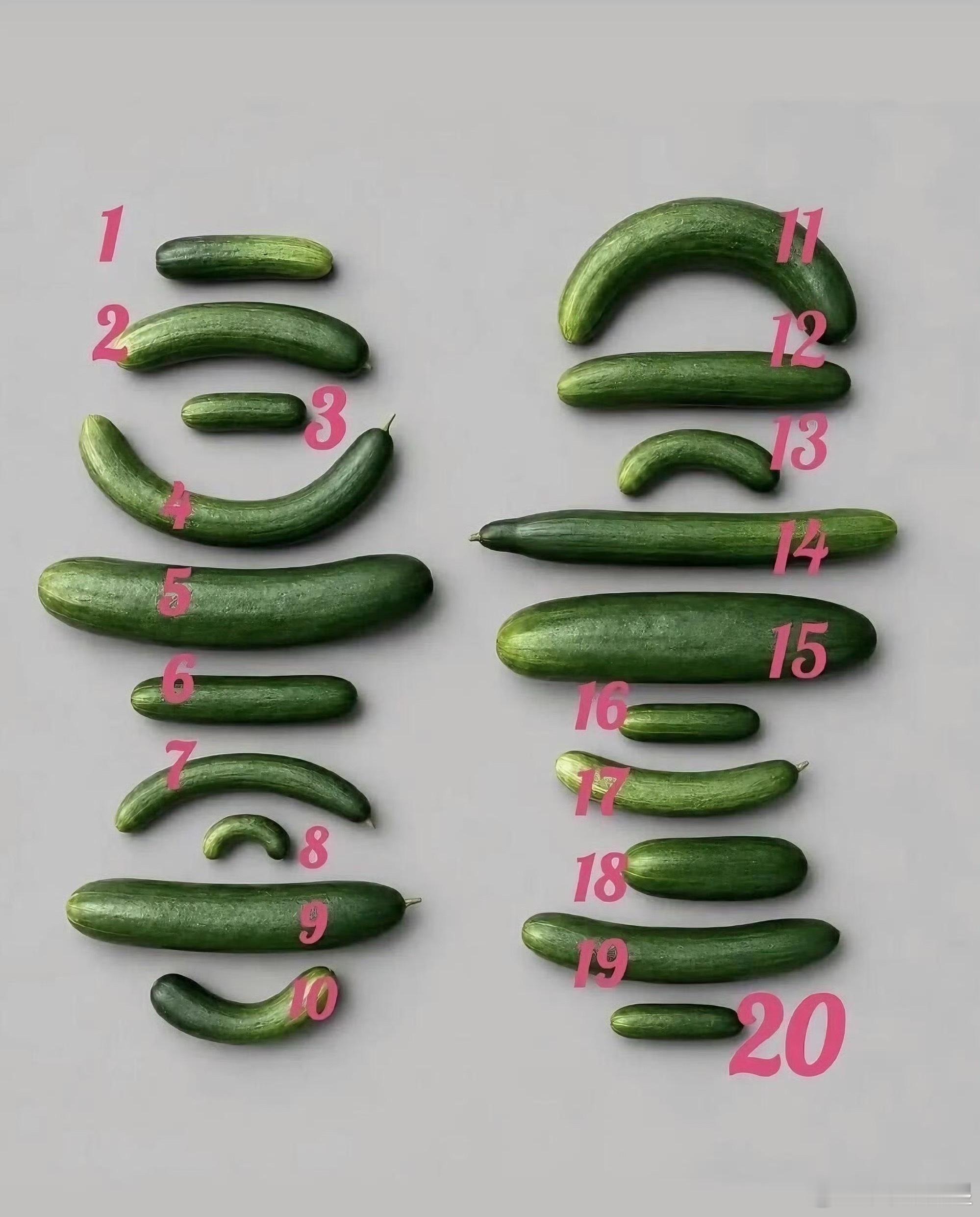 你是数字几？？ 