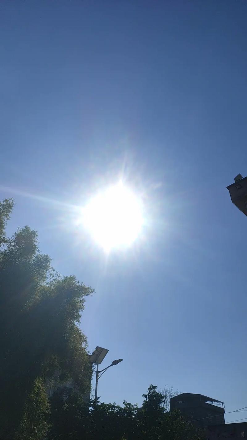 这么大太阳你们耶不耶啊，本想出去搞点干粮，人还没出去被晒回来了。 