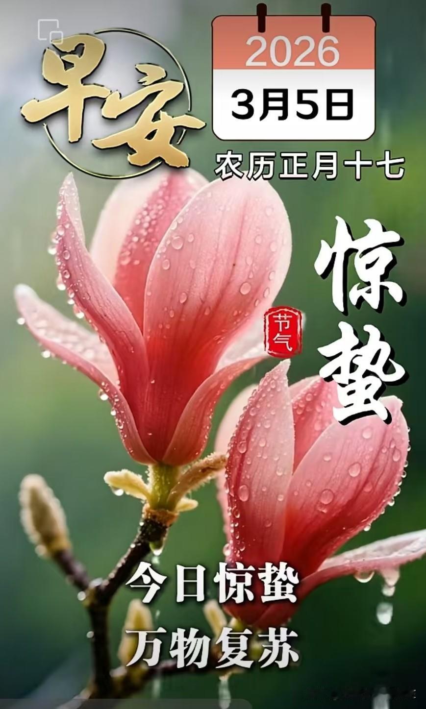 惊蛰雪韵

惊蛰时节，本应是春雷乍动、万物复苏，可京西的清晨却白雪皑皑，春寒料峭