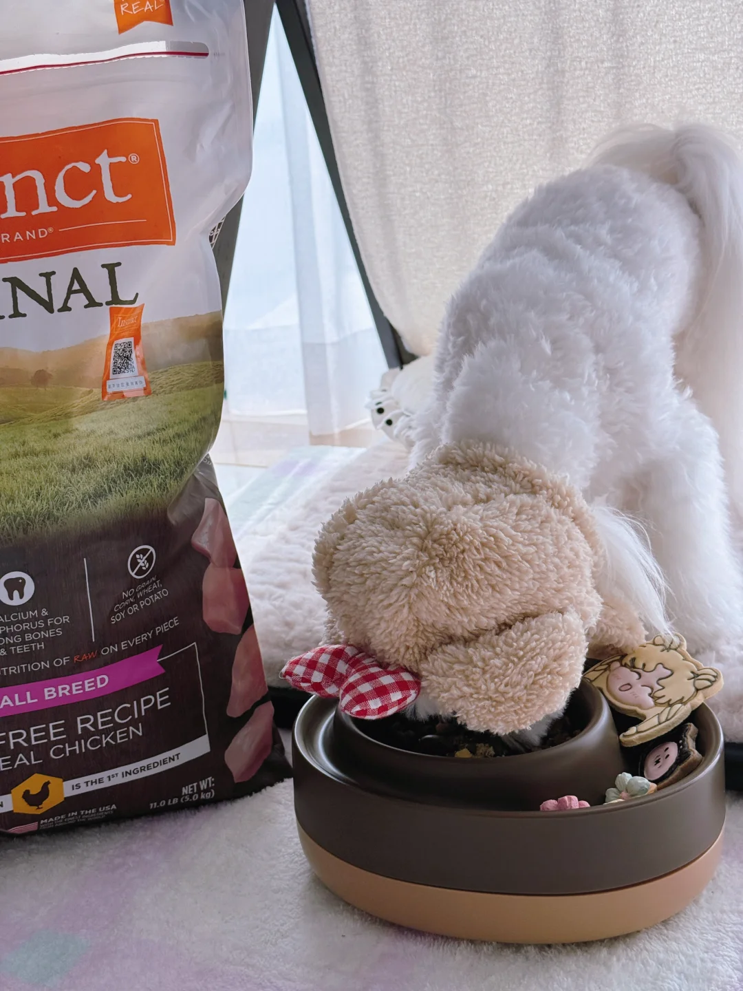 挑食小鼻嘎前来报道！💼