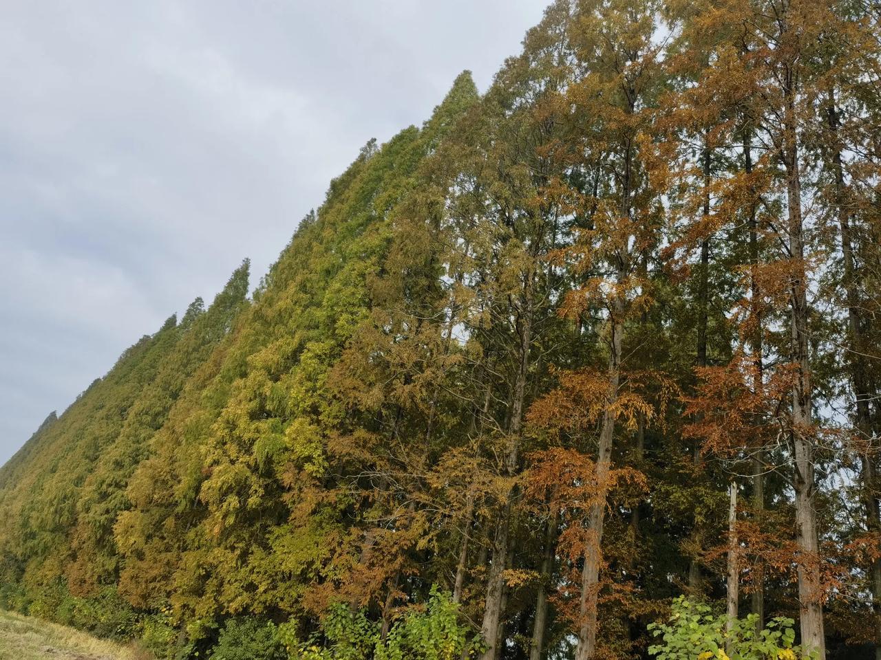 你很会拍照，旅游记录生动活泼，有煽动性有吸引力，我很想去看看，看那山那水以及来来
