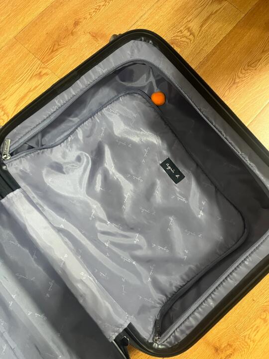 谁懂啊 小猫在我行李箱里塞了它最爱的玩具