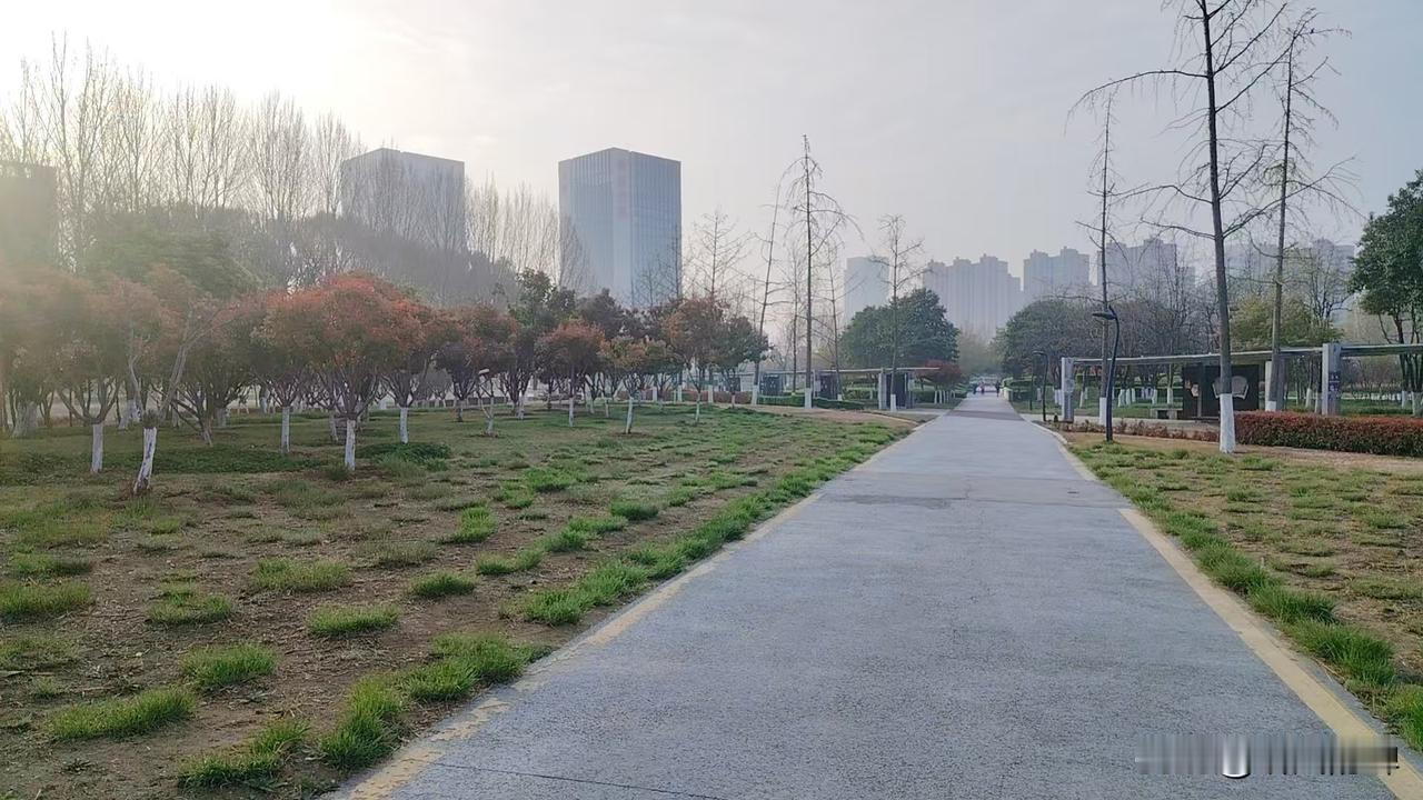 每天批菜的路上都会遇到一个晨跑的女同胞，她的穿着不敢恭维，让男同胞们不敢直视她。