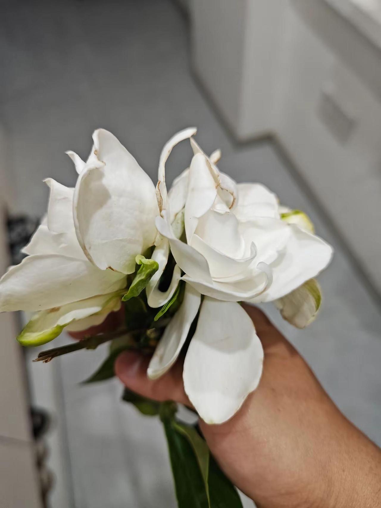 寂静的学院操场上早起运动完，便拐进红光菜市场，扑面是市井的嘈杂与早餐炸货铺的油香