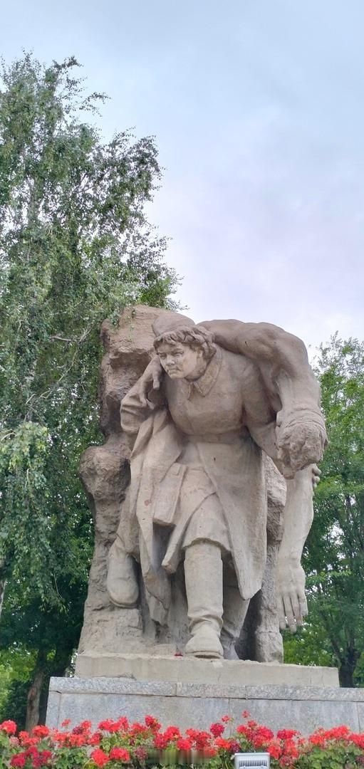 分享图片 ​​​