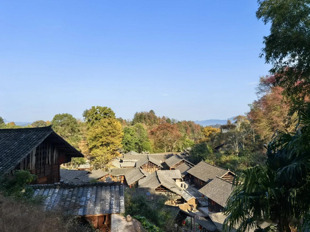七律.重读《六言诗.给彭德怀同志》有感
（2024年12月2日）
山高路远蹈深渊