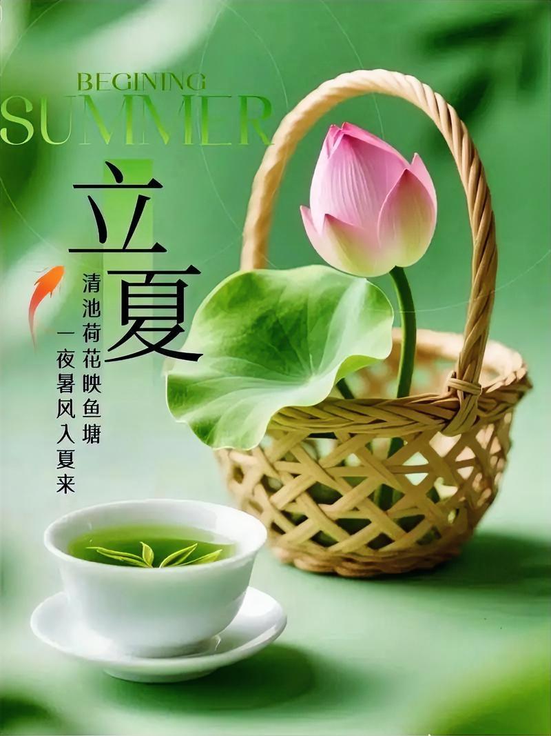 盛夏悄然而至，草木褪去浅嫩，漫山遍野铺开深浅交错的绿，风拂过林间，枝叶簌簌，满眼