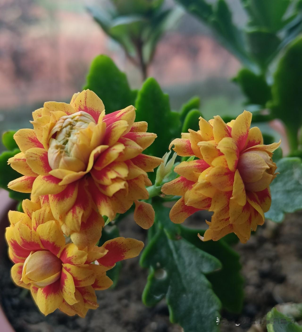 1.一定记住不要干了活没人知道，大事能发工作群全部发出去，小事就要人到齐再做。