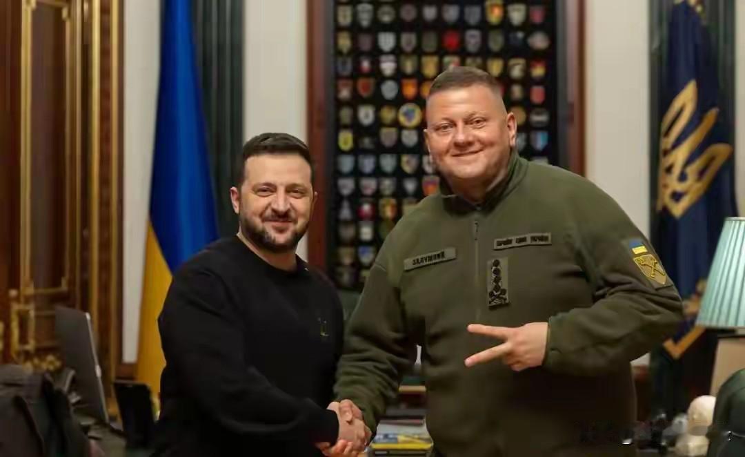 扎卢日内爆料！都怪泽连斯基私心太重
远离公众视野的乌克兰前总司令扎卢日内最新爆料