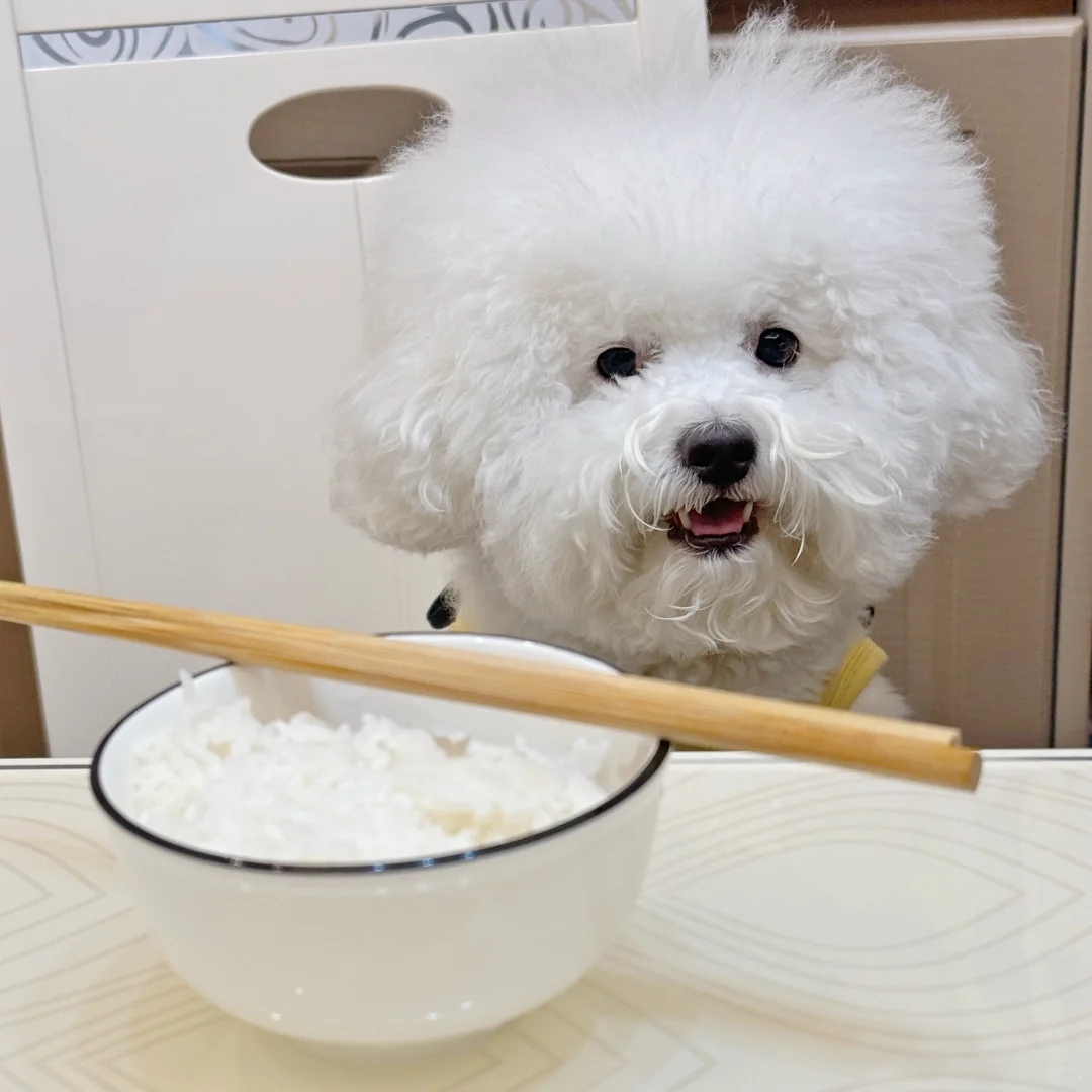 开饭