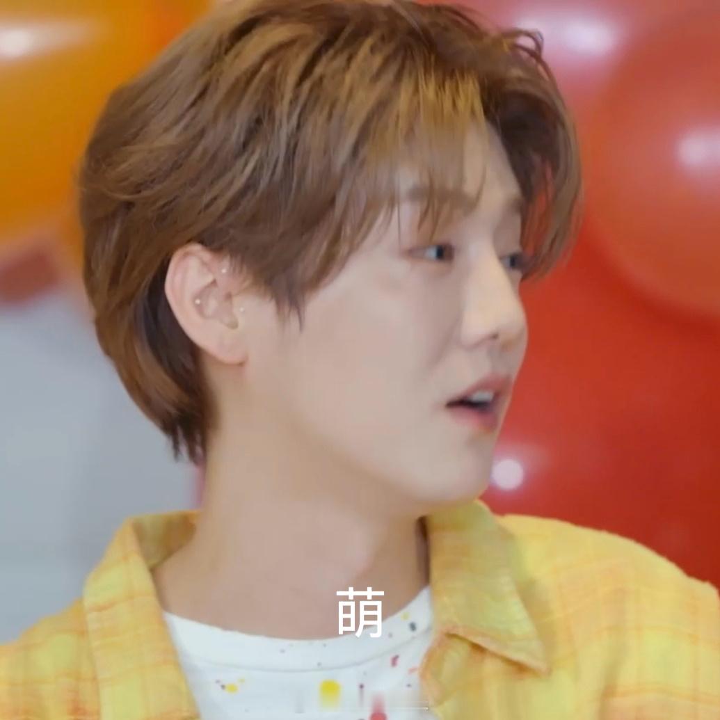鹿晗动物塑自己是小鹿犬 五哈里鹿晗报“狗名”说自己是小鹿狗，这波自己动物塑自己也