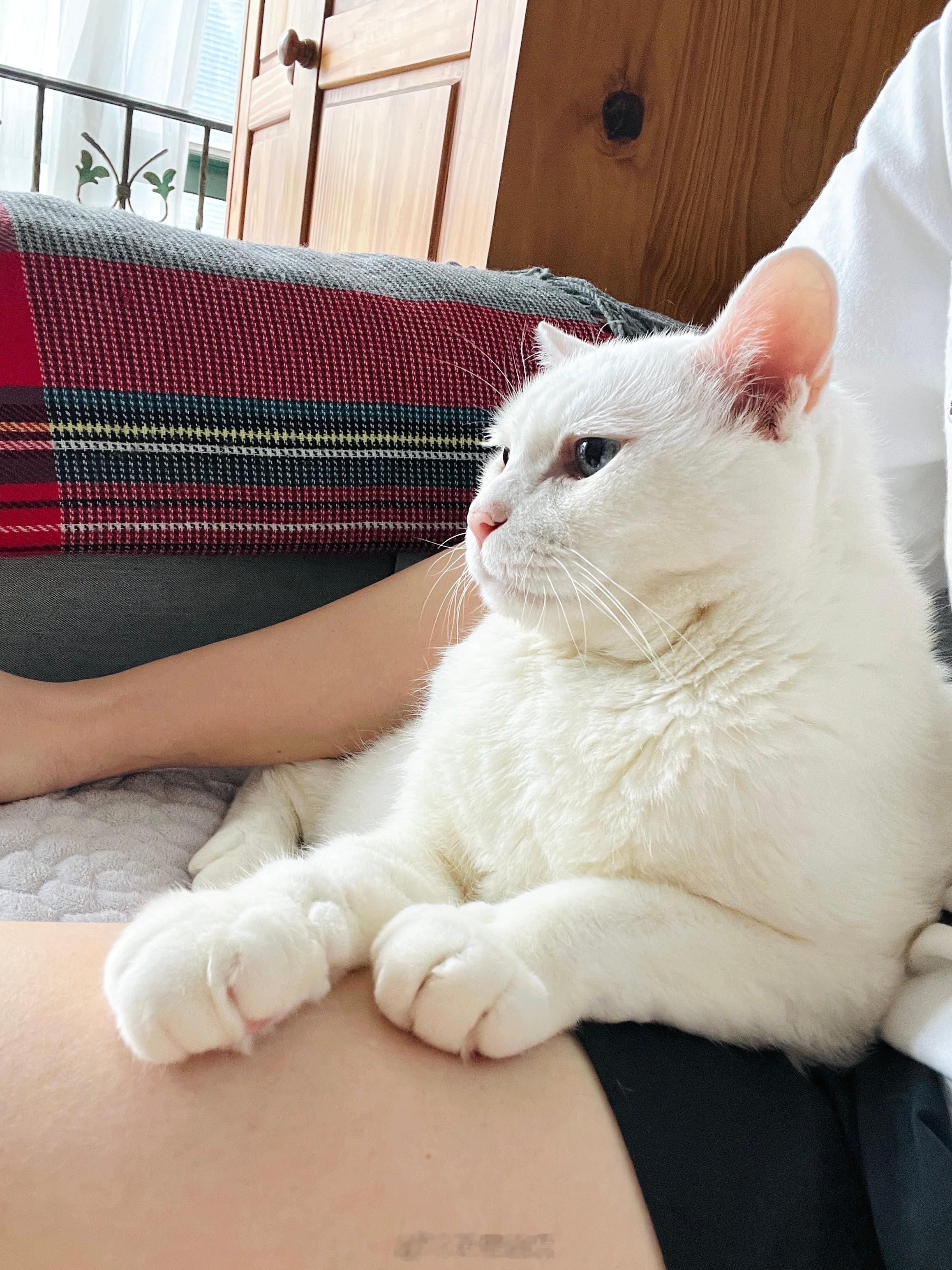 不甘吉寞。 ​​​