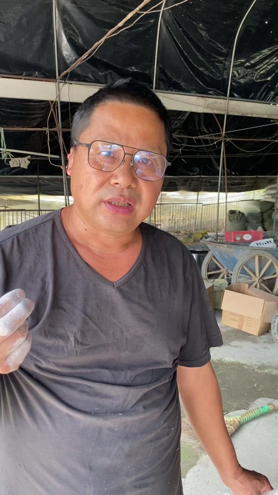 羊肚菌原种怎么制作？今天把农场的详细做法分享出来，新手也能学会。
1️⃣处理麦粒