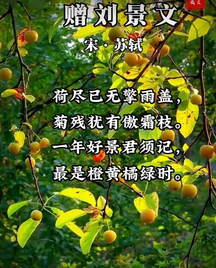 读古诗词
秋日从古诗词里寻找人间乐趣！
#随手记录秋日生活#