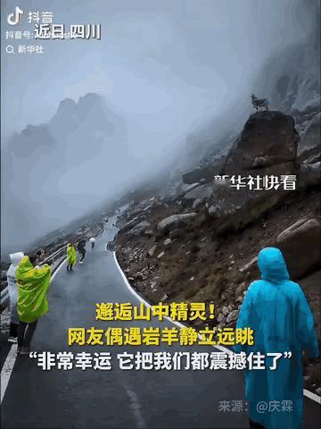 彻底解释不清了！ 果然连新华社都忍不住转发了。 四川，一网友在莲宝叶则的山路中徒