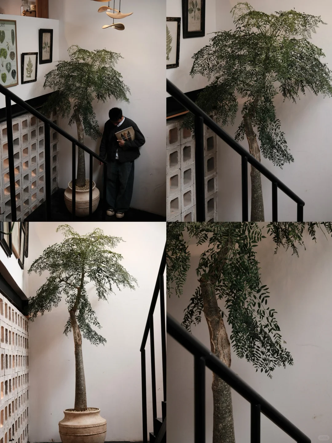 楼梯转角处，会生长的植物艺术装置