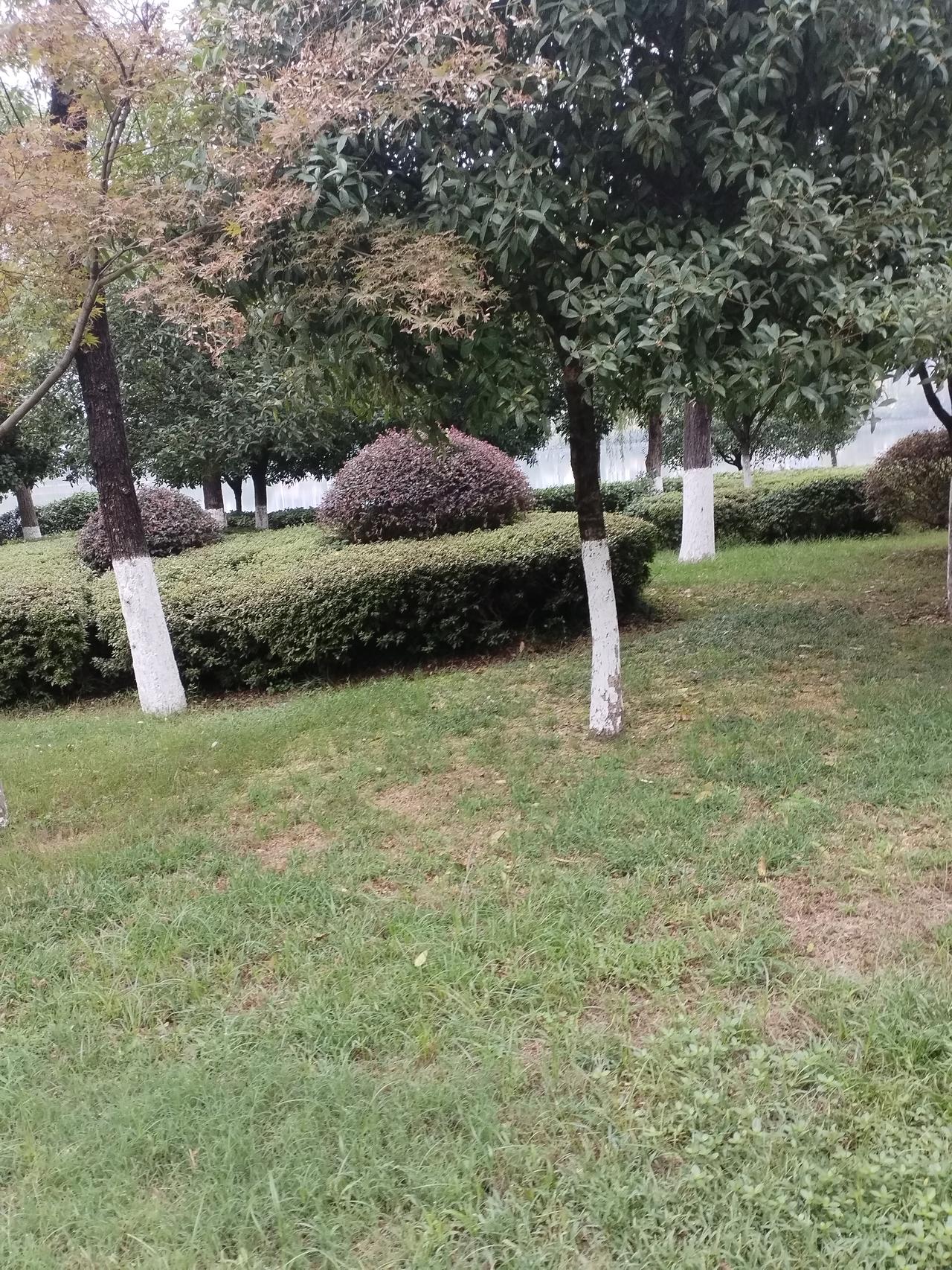 烟火暖融风格
上联：香烟点孤独
下联：温茶熨寂寥
横批：闲居有味
解析：上联写烟