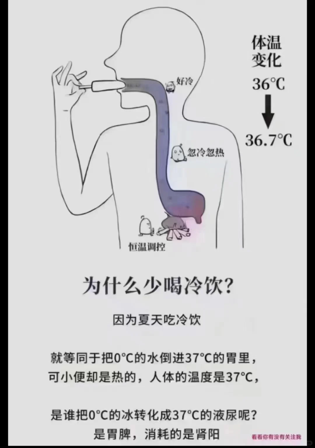 🧧毁掉一个人的健康，每天给他一根冰棍、冰