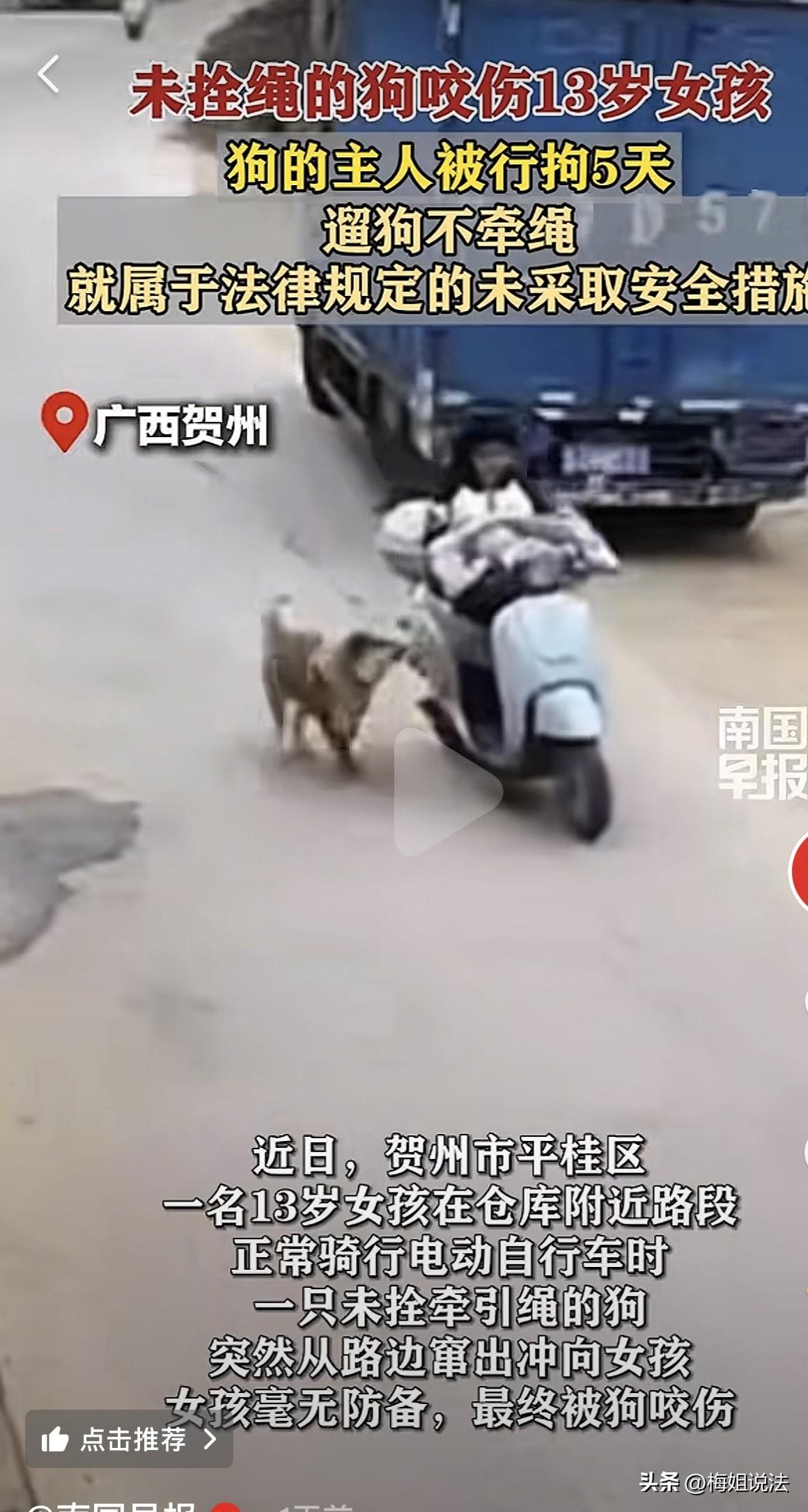 广西贺州，一位13岁女孩骑车路过某家仓库附近路段，一只位未拴绳的狗突然从路边窜出