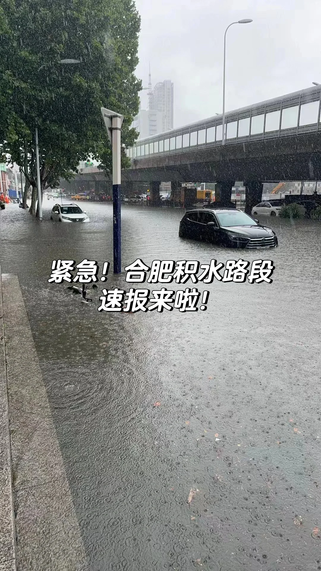 紧急！合肥积水路段速报来啦！⚠️