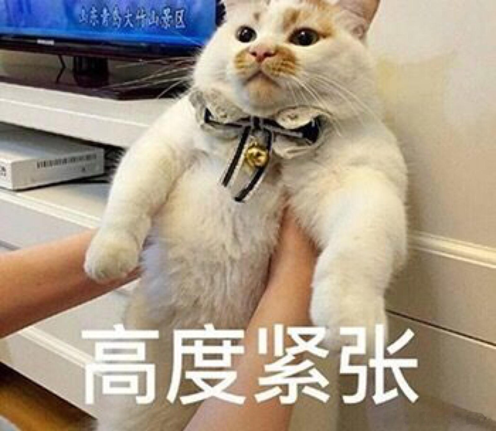 M女士害怕的事情很多 