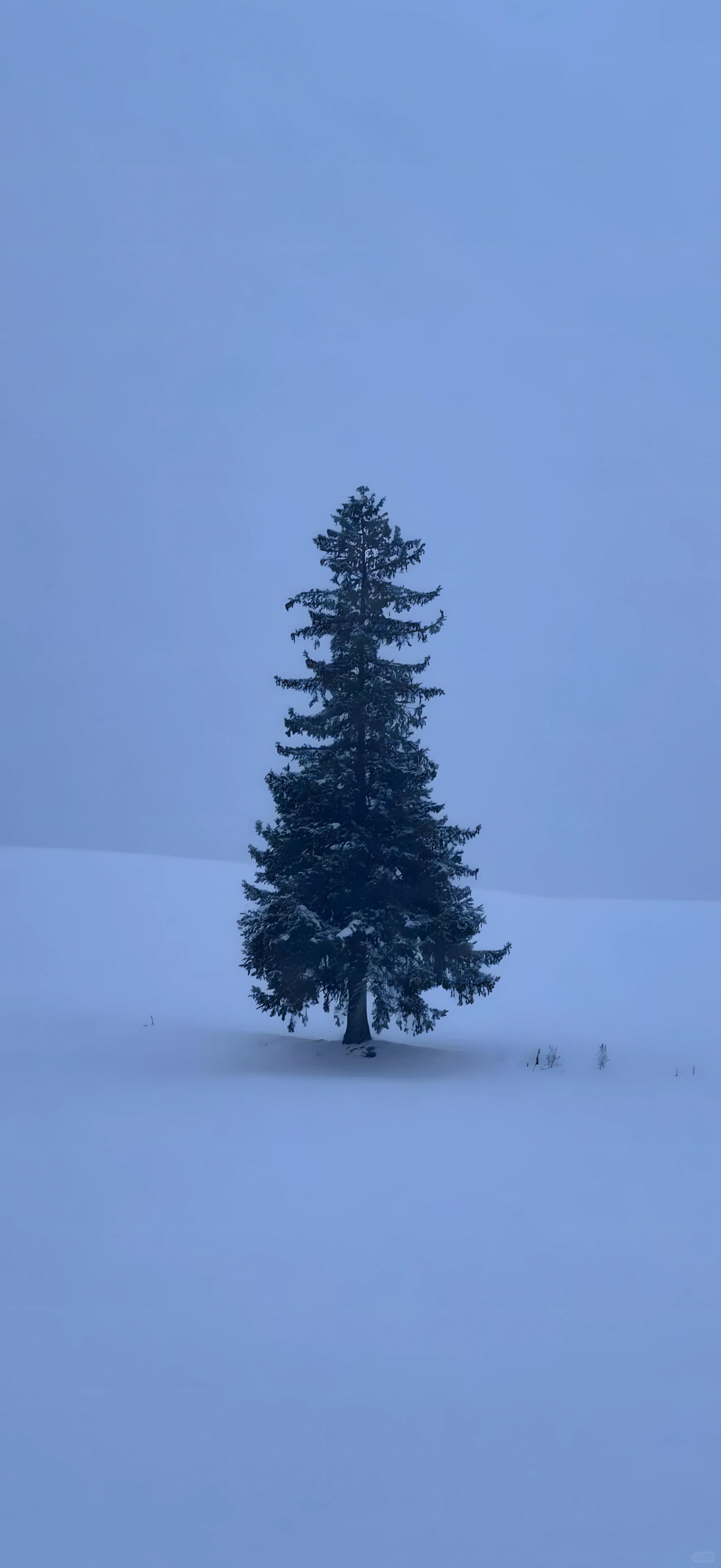 Wallpaper | 好美的雪景壁纸高清壁纸｜雪景壁纸｜冬日氛围感壁纸｜冬天的