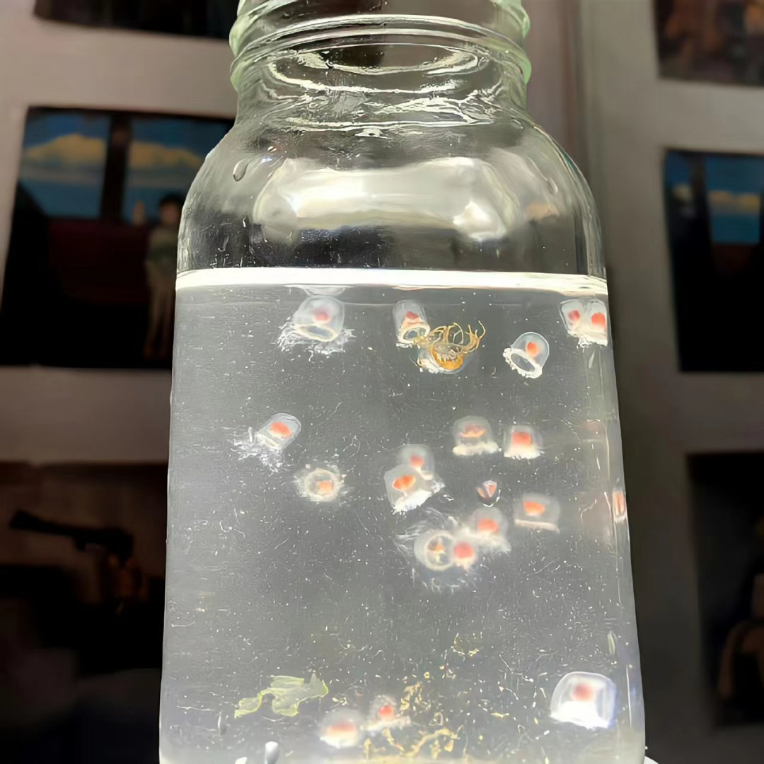叮咚，来换背景图₍ᐢ..ᐢ₎ 