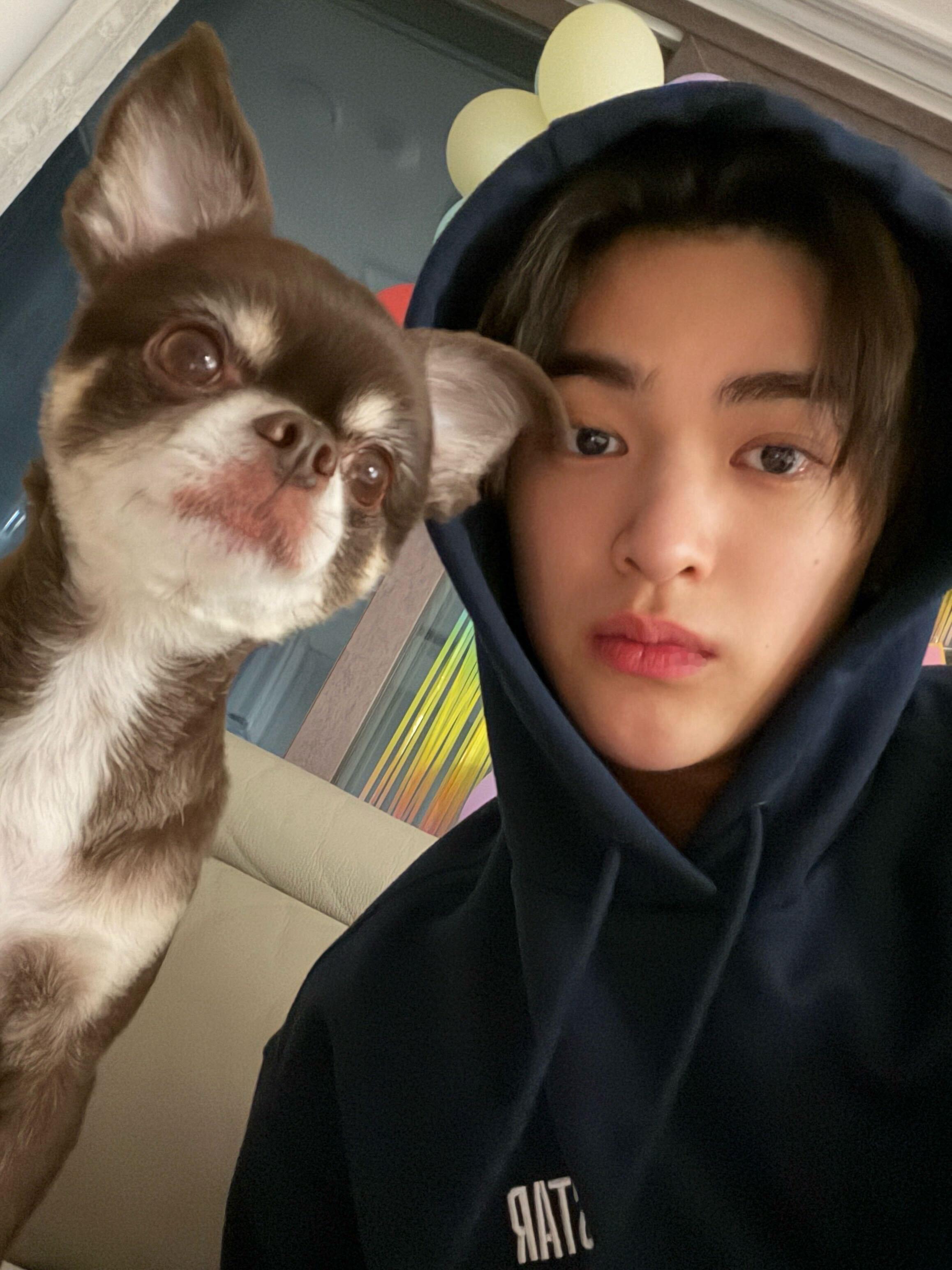 安乾镐 拥有让人幸福的能力✨ 