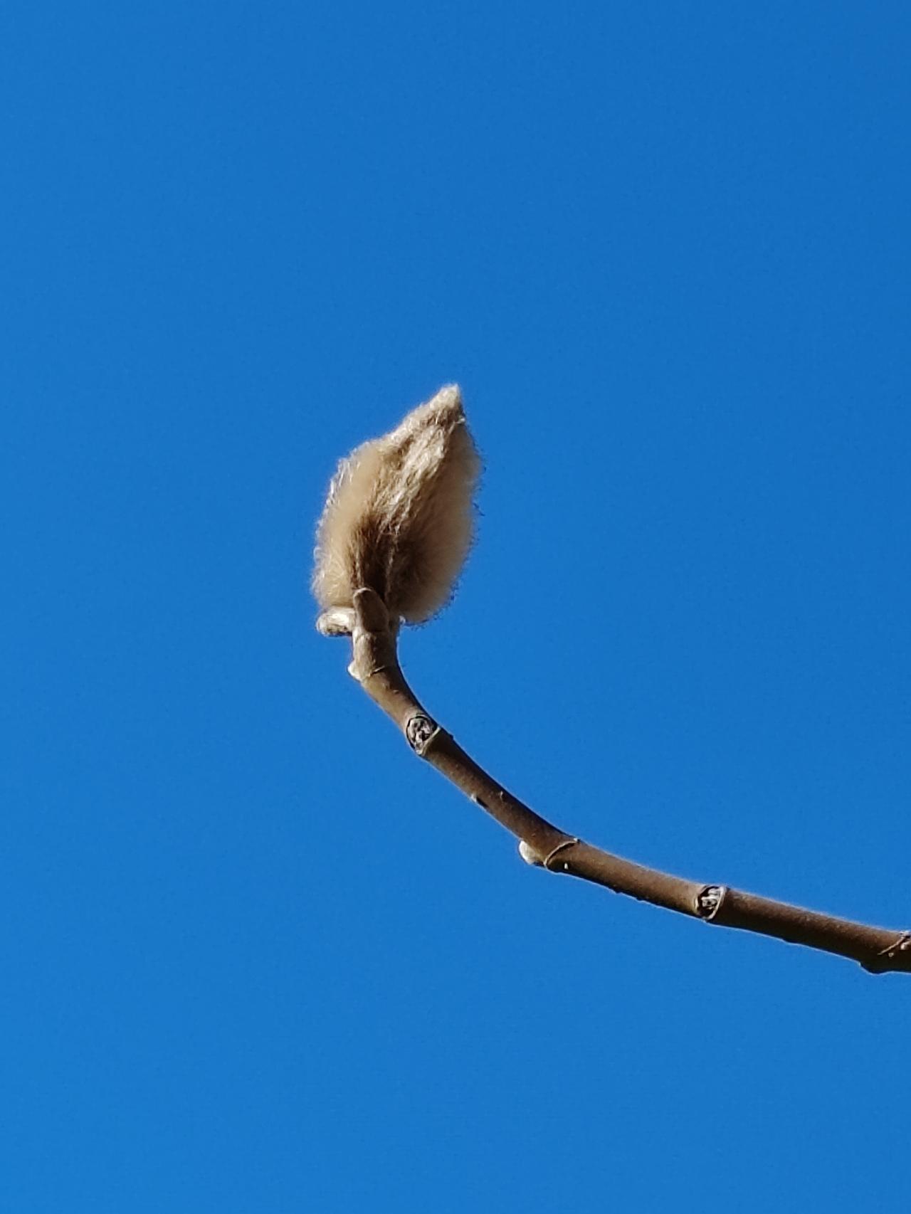 我们这里的风俗和你们那一样。老人过世三年不贴对联，以遵三年守孝之规。这三年里，家