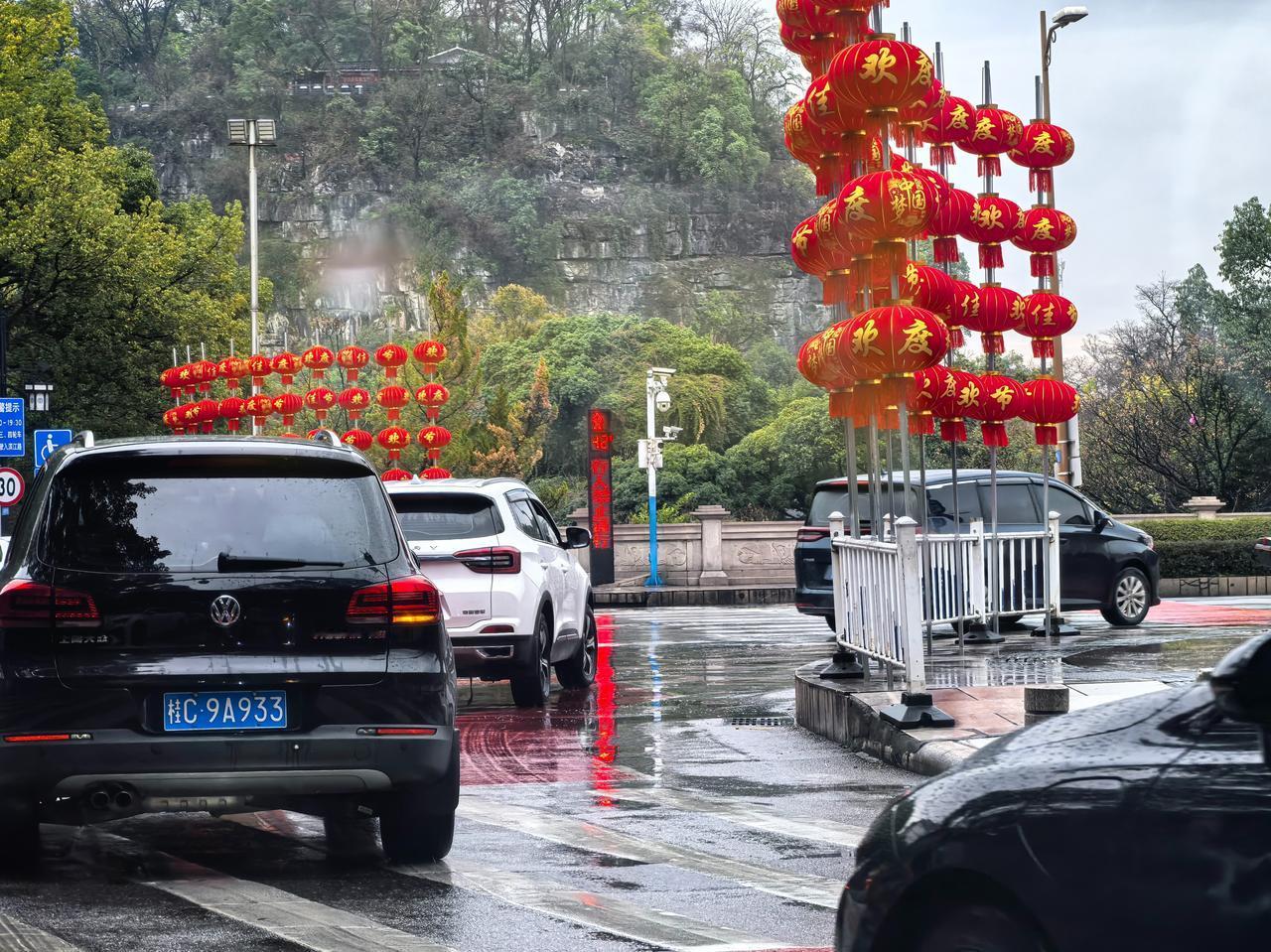 今天，桂林这条绿荫大道变美啦，多了好些漂亮的花卉！大家好，我是咖叔，今天是2月1