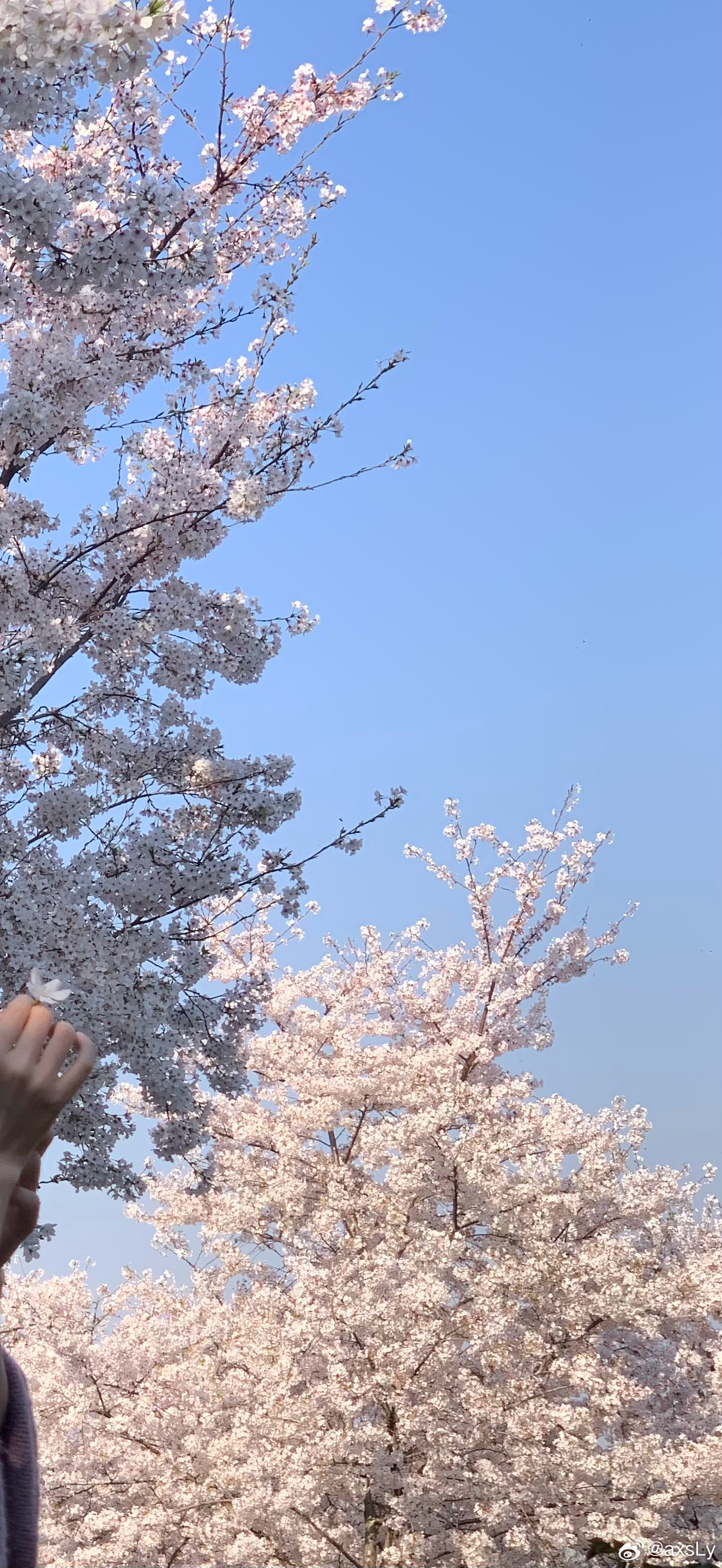 ☁️ ​​​