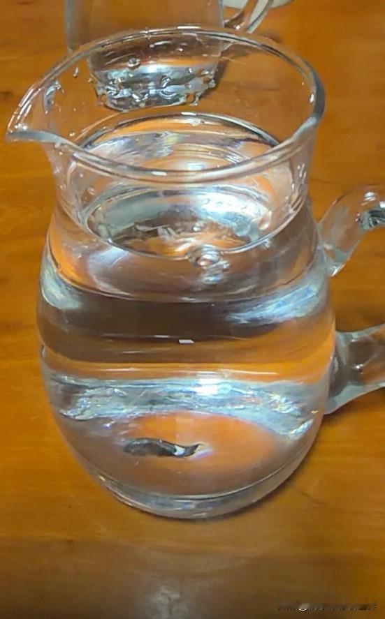 木质桌面上，这只透亮的玻璃分酒器盛着半杯清水，像一个安静的容器，也像生活里温柔的