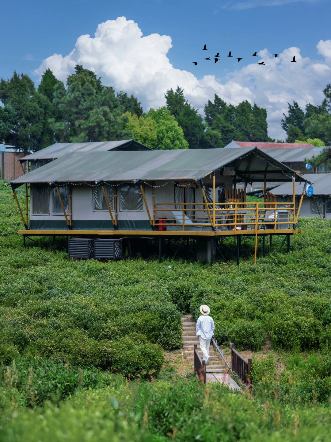 反向旅游真香‼推荐南京周边的宝藏景点🌿