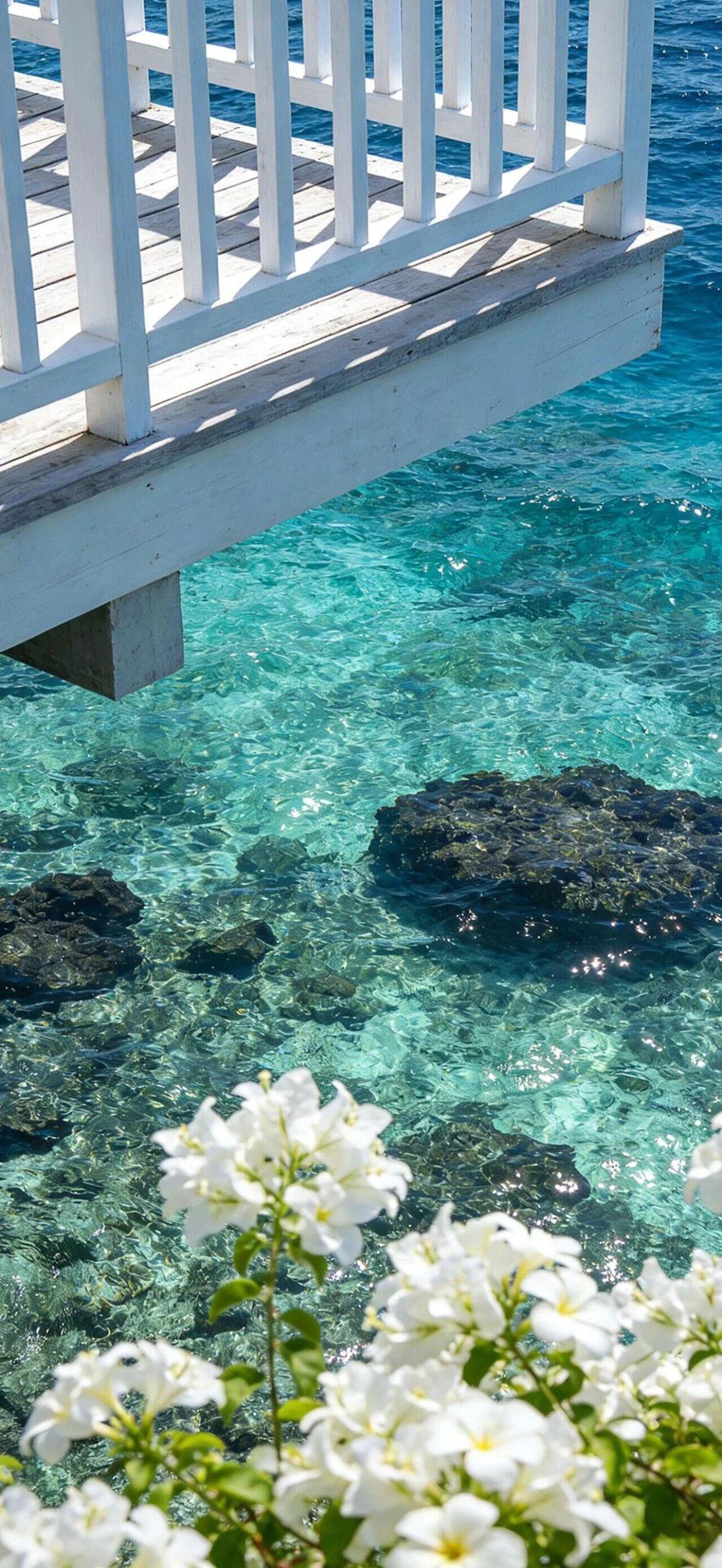 新壁纸盛夏壁纸大放送动漫仲夏狂欢季