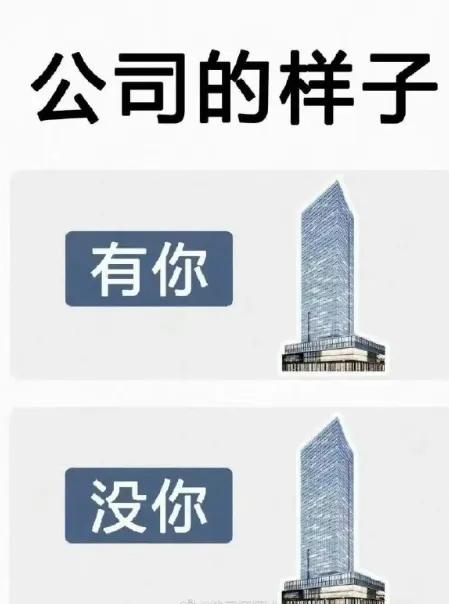 公司有你没你其实都一样的