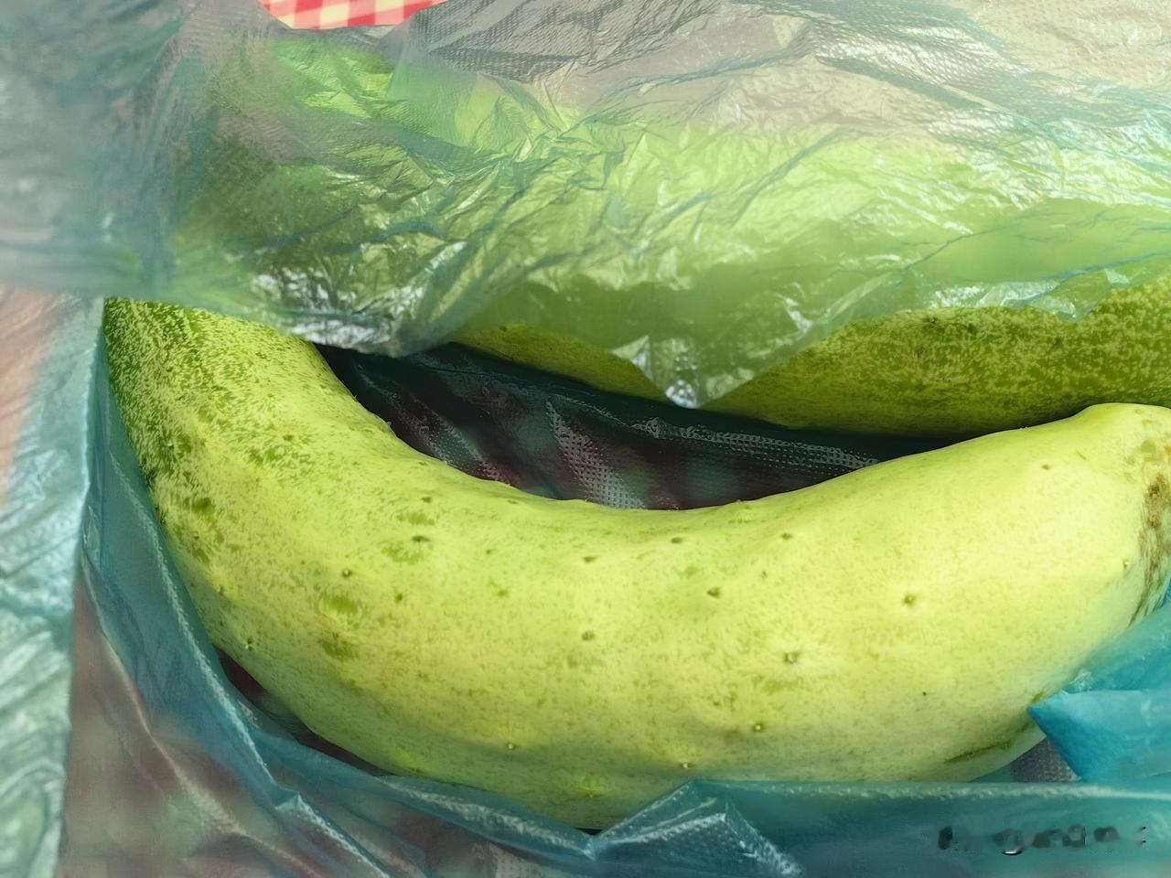 我家保姆我真的无法说她！
来我家里上班三天两头手里没有空过。
她家是城郊的，她来