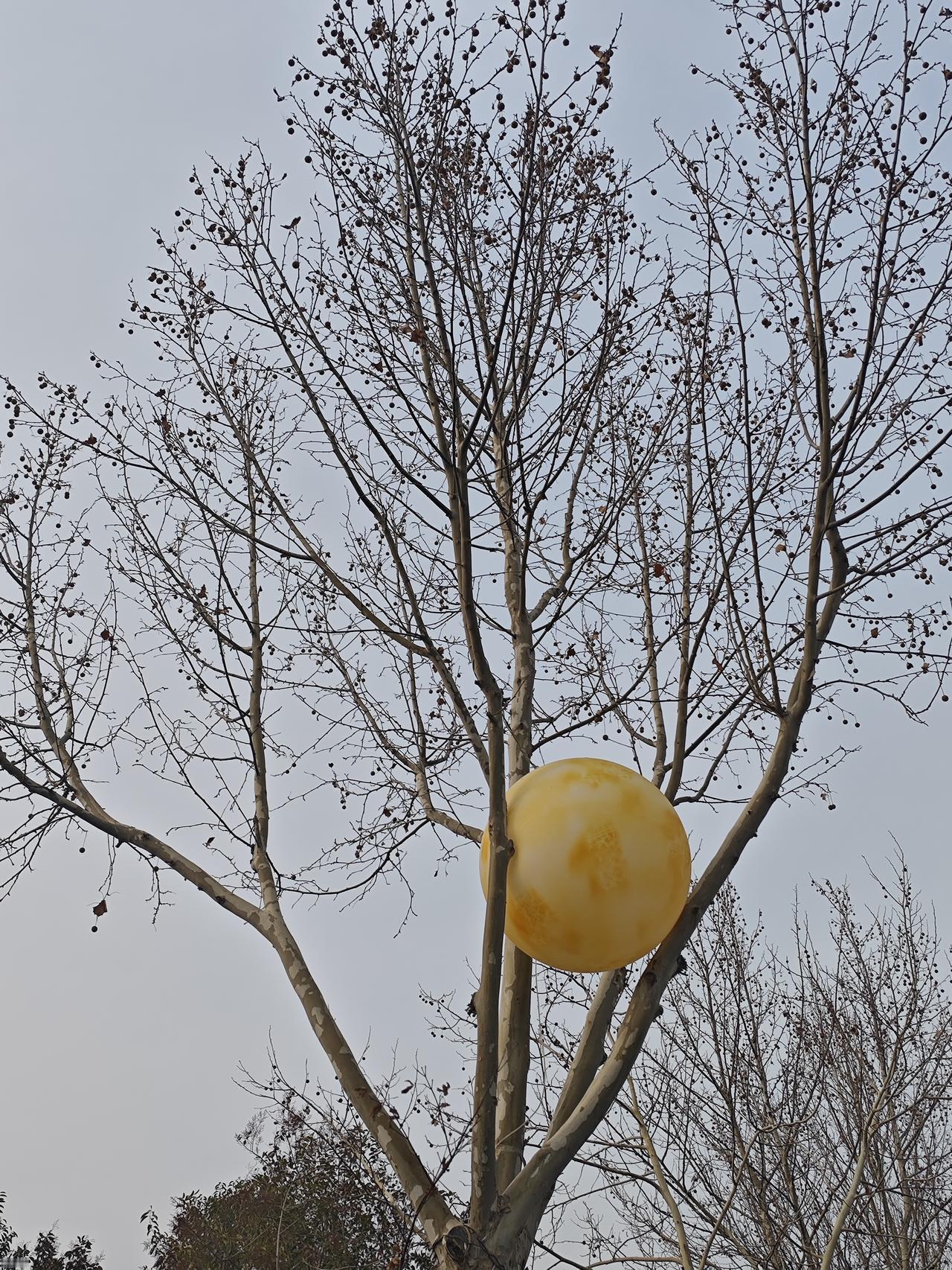 能干大事的女强人

  我在健身房认识了一位温文尔雅的女士，搞证券工作的，平时温