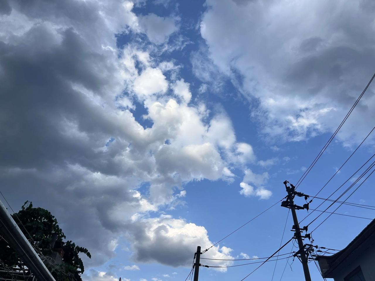 一个人如果不看书，那么他的价值观就会由他身边的人决定，因为他没有别的输入途径，只