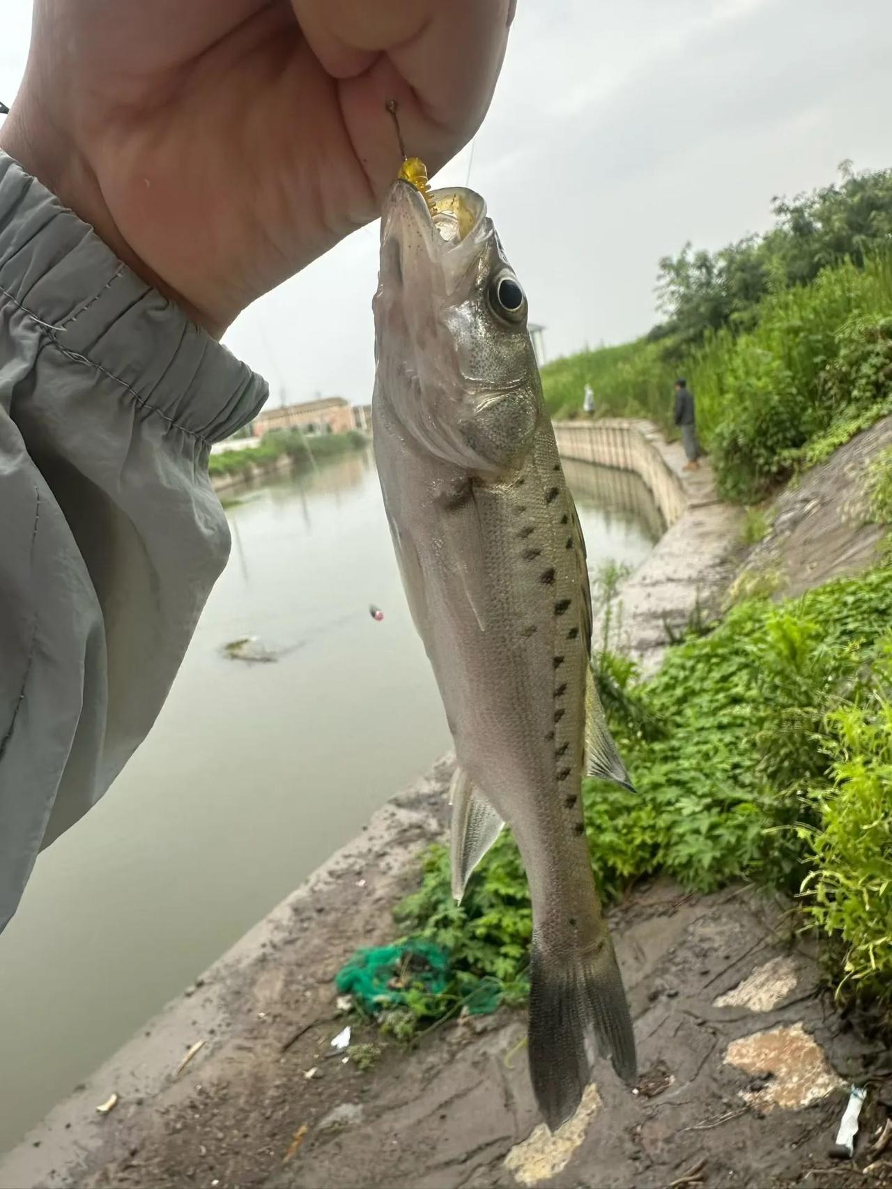 我自己买东西，不喜欢被别人追着问。
同样自己做生意，也几乎不追着客户问。
追着客