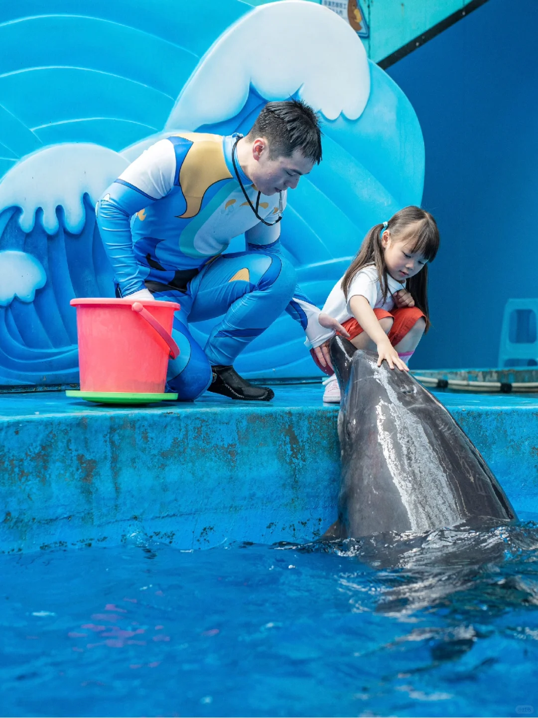 啊啊啊啊，她终于摸到了海豚🐬～