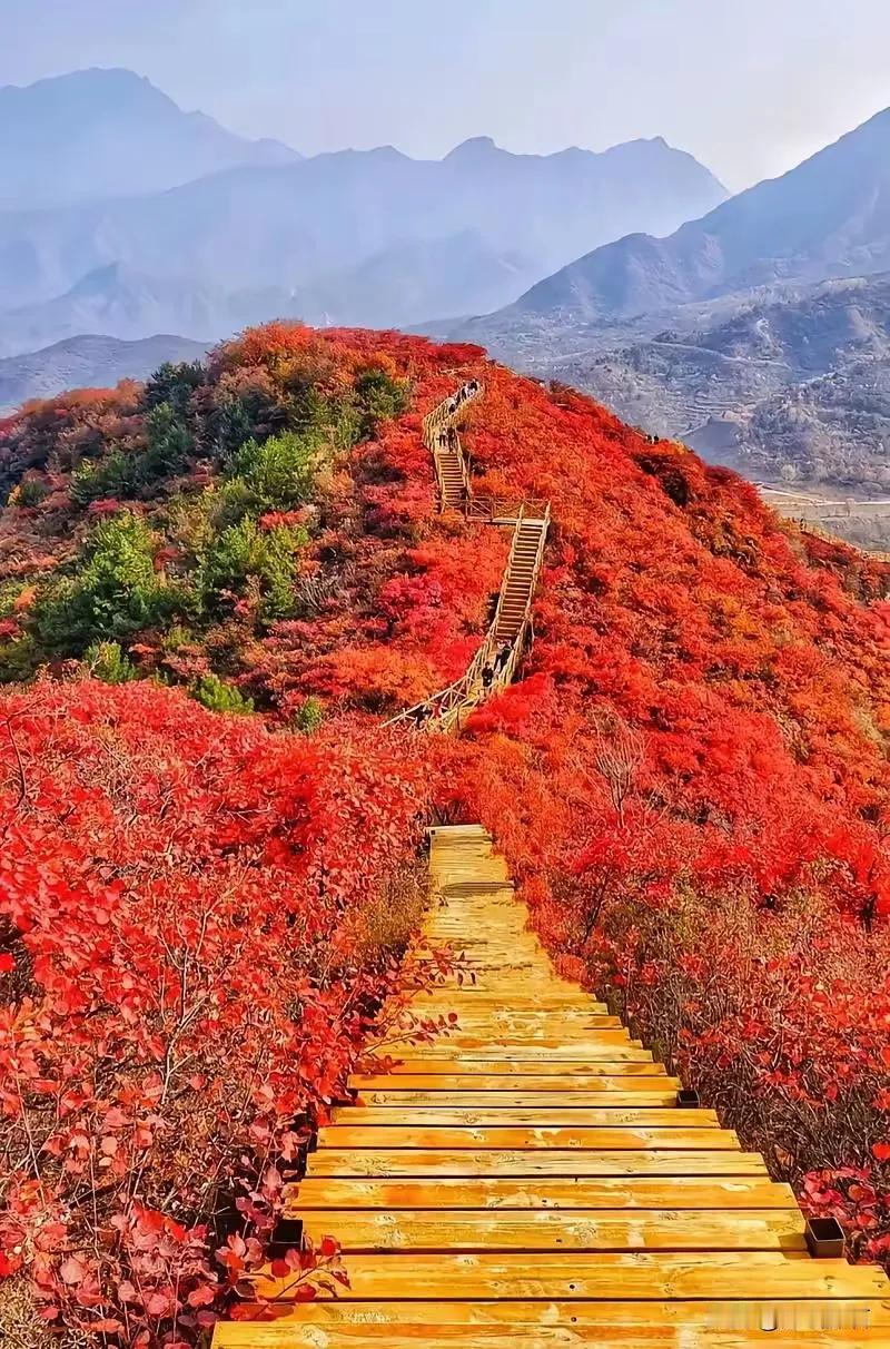 上联：红叶谷峰赏秋色；
下联：？？？