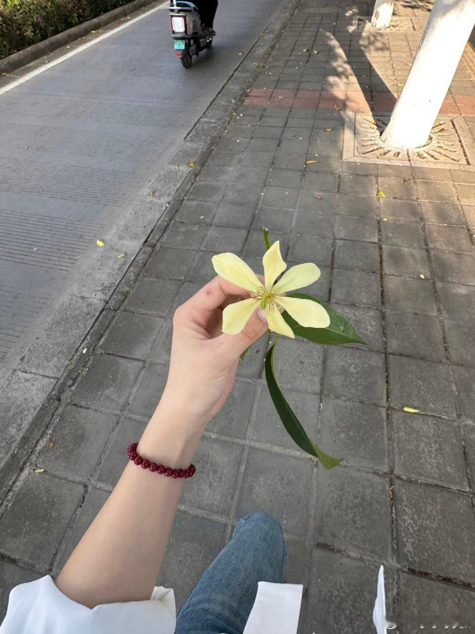 又是一天的结束[爱慕][爱慕] ​​​