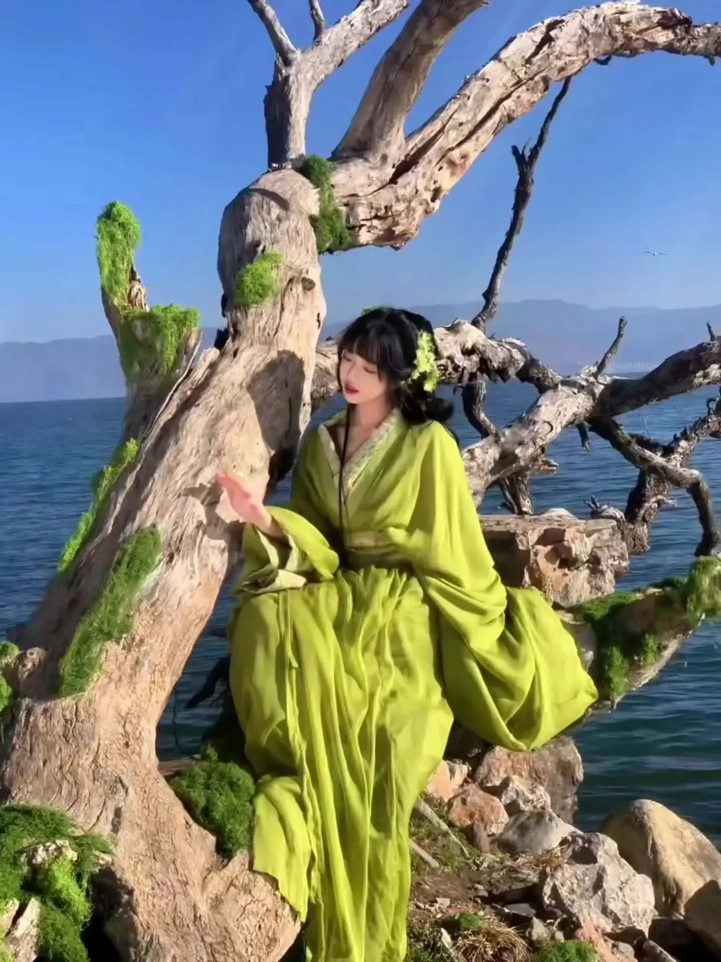 “长冬有尽，枯木簪春。”