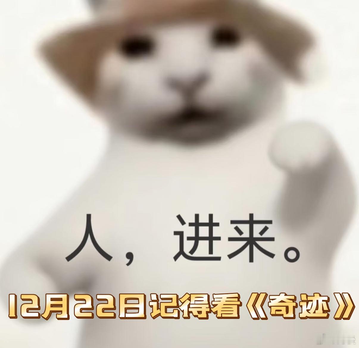 谁把短剧阵容拉到春晚水平了总台首部原创精品短剧集奇迹谁懂啊！居然把春晚阵容搬去短