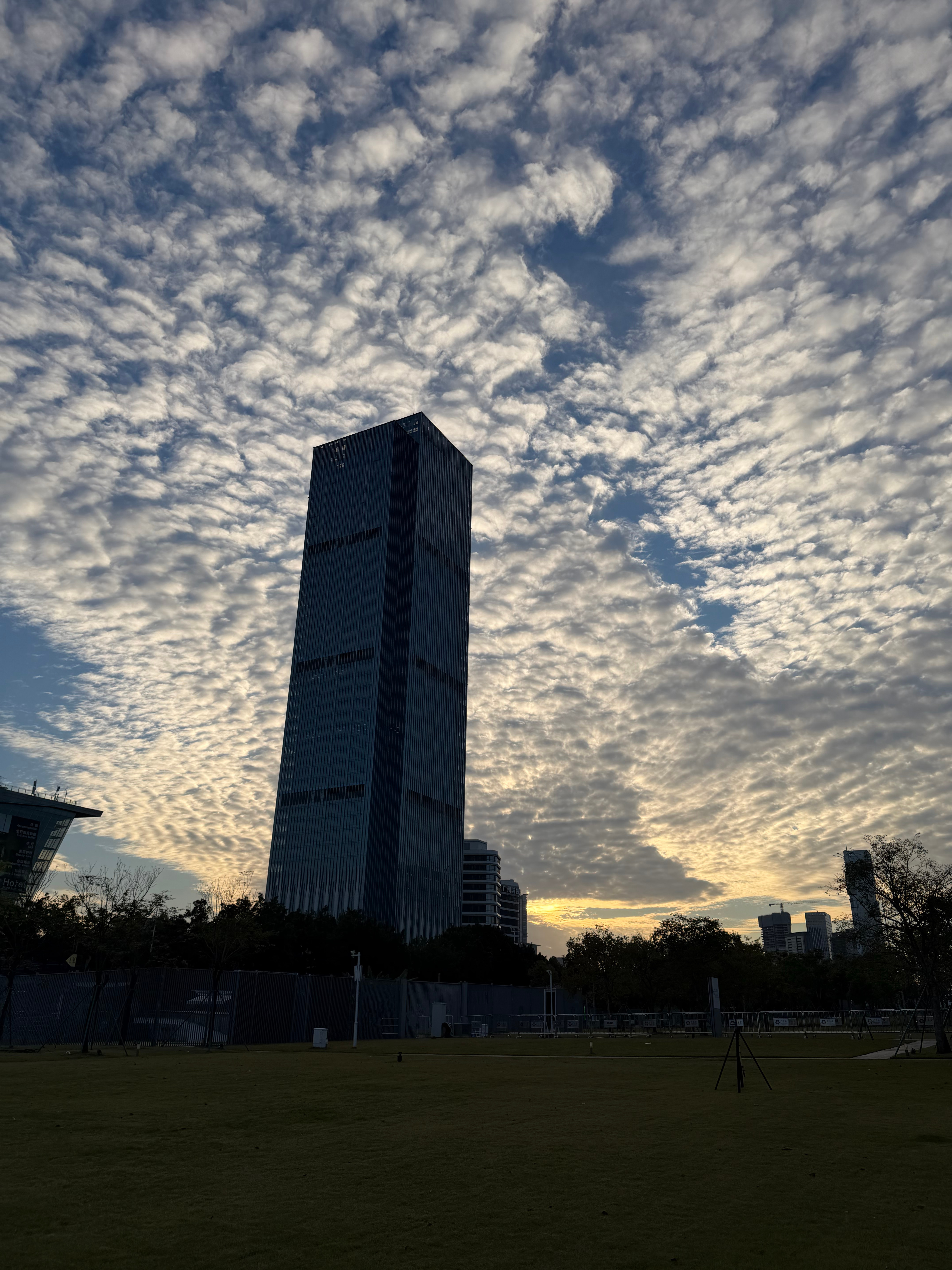 好多年没见过实体证了