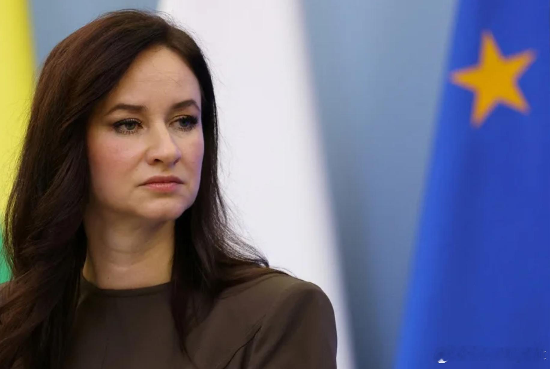 【维尔纽斯机场一周三次因“走私气球”关闭 立陶宛政府被批无能】海外新鲜事 立陶宛