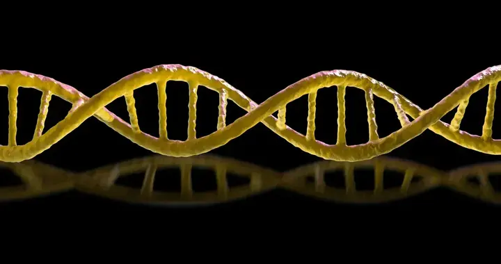 研究了30年的镜像生命，为什么科学家自己喊了停